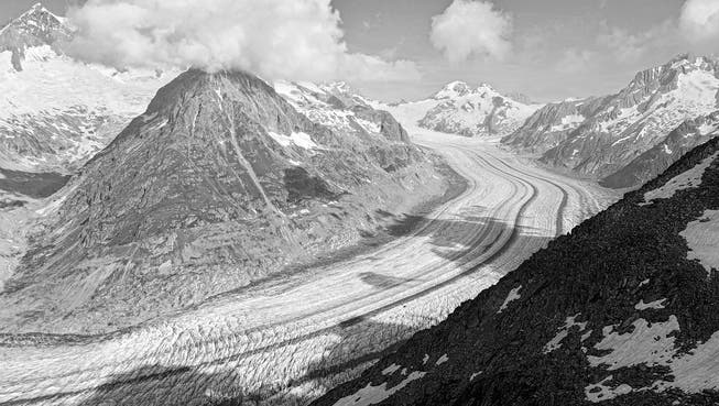 Der Aletschgletscher fotografiert am 18. Juli vom Eggishorn.